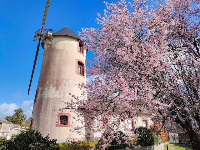 GITE MOULIN A VENT RENOVE-LE MOULIN DES GARDES1